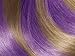 Garnier Hair Color Color Styler Intense Wash-Out Color, Purple Mania