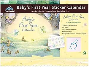 Amazon.com : Baby's First Year (Classic) Baby's First Year Sticker ...