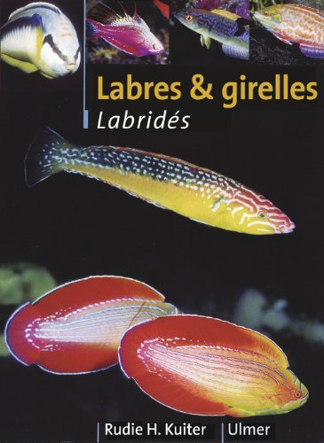 Labres et girelles