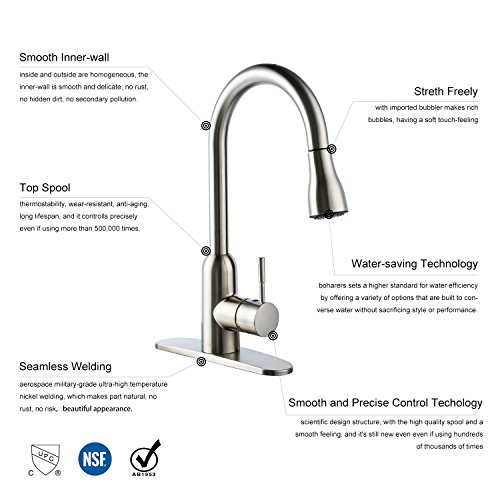BOHARERS Kitchen Faucet with Spray/Stream Brushed Nickel Stainless