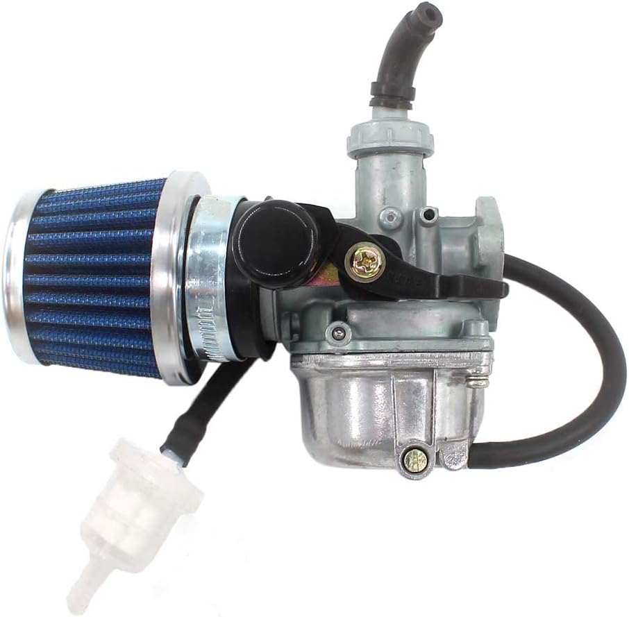 Carburatore &ndash; Un Orso In Campagna