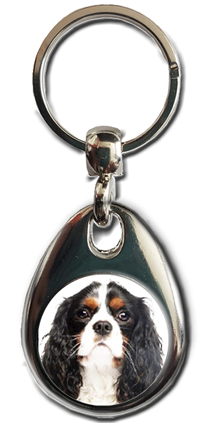 KAZMUGZ CAVALIER KING CHARLES SPANIEL tricolour Dog KEYRING. Heavy quality metal gift keyring. Double sided keychain. Puppy Dog Pet gift.