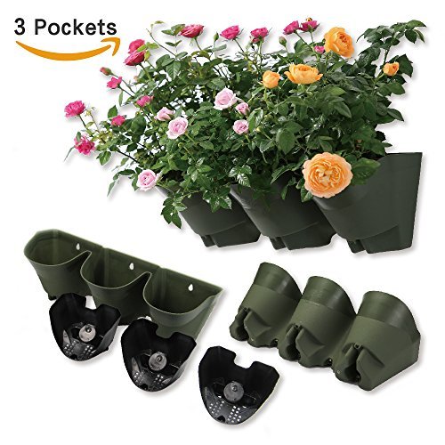 Worth Garden Olive Green SelfWatering 1 Set 3 Pockets Vertical Wall Garden Planters Tulips