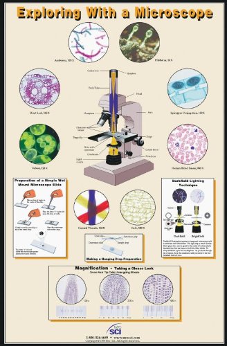 Neo/SCI 35-1006 Exploring with a Microscope Poster, Laminated, 23" x 35" Size