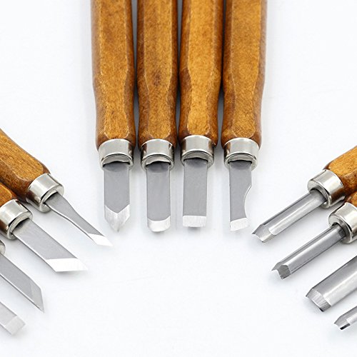 TOOLTOO Wood Carving Knife Chisel Tools Kit â€“ SK2 Carbon Steel Set With Red Oilstone and Storage Bag For Starter Professional, 12 PCS Pack