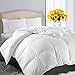 EASELAND All Season Queen Soft Quilted Down Alternative Comforter Hotel Collection Reversible Duvet Insert Fill with Corner Ties,Winter Warm Fluffy,White,88 by 88 Inches