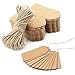 Segarty 200PCS Brown Craft Tags, Thanksgiving Tags for Gift Bags, Personalized Card Stock Gift Tag with Hole, Kraft Paper Labels with String for DIY Arts Crafts, Wedding Birthday Christmas