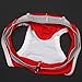 NEARTIME Men's Underwear, Underpants Knickers Mens Boxer Briefs Shorts Trunk …