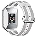Fitbit Ionic Bands Nylon for Women Men, hooroor Woven Nylon Replacement Sport Wrist Band Strap with Classic Metal Buckle for Fitbit Ionic Smart Watch Smoke Gray Silver Burnt Orange