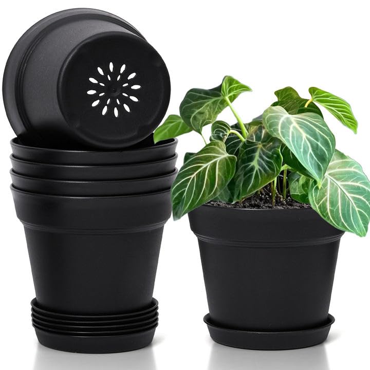 T4U Plastic Plant Pots 6-Pack, Flower Pot with Drainage Hole and Saucer, Classic Indoor Outdoor Plant Pots for Succulent, Snake Plant, Aloe Vera and All House Plants (16CM Opening Diameter, Black)