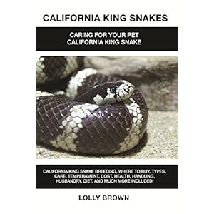 California King Snakes: California King Snake breeding, where to buy, types, care, temperament, cost, health, handling, husbandry, diet, and much more