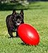 SOFT-FLEX 100537 Virtually Indestructible Rugby Ball, 12