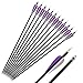 Hunter Colored Fletched Carbon Arrows with Replaceable Tips for Recurve and Compound Bow 12-pack