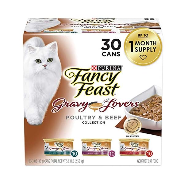 fancy feast gravy lovers beef