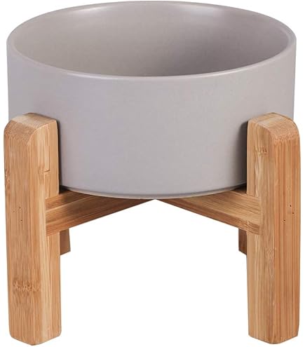Amazon.com : Ceramic Elevated Raised Cat Bowl with Wood Stand No