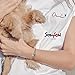 SOUFEEL Clasp Bracelets Exclusive 925 Sterling Silver Bracelets Basic Charm Bracelet Jewelry Chain Simple Bracelets for Women Men Girls Baby (7.5inch/ 19cm)