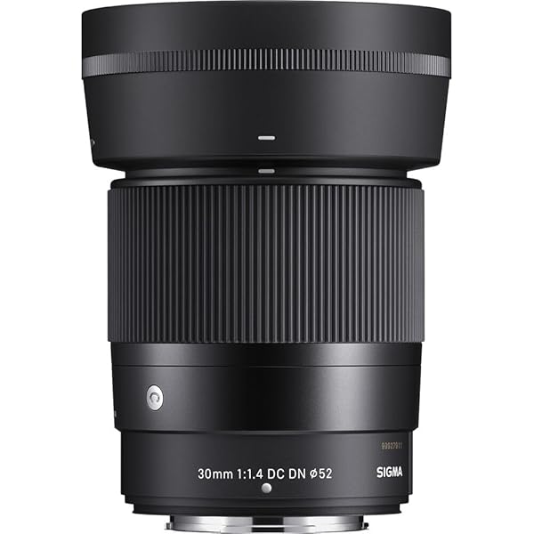 Amazon.com : Sigma 56 mm F1.4 DC DN [Contemporary] for Fujifilm X 