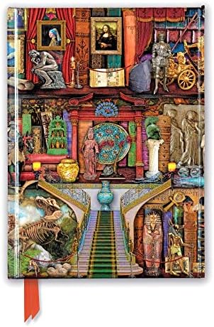 Aimee Stewart: Museum Bookshelves (Foiled Journal) (Flame Tree Notebooks)