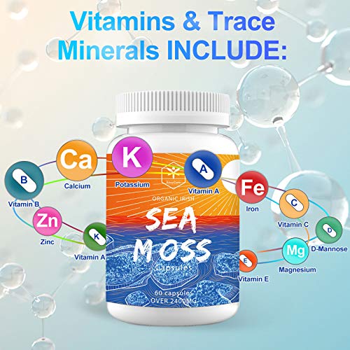 Irish Sea Moss Capsules Organic Bladderwrack Burdock Root for Women & Men Seamoss Supplements Improved Absorption with Turmeric, Non-GMO, Vegan, No Fillers, Per Over 2400Mg 60 Capsules