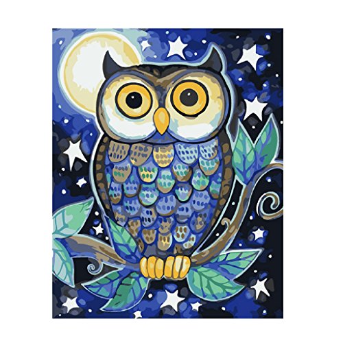 Paint By Number Kits of Owls • Paint By Number For Adults