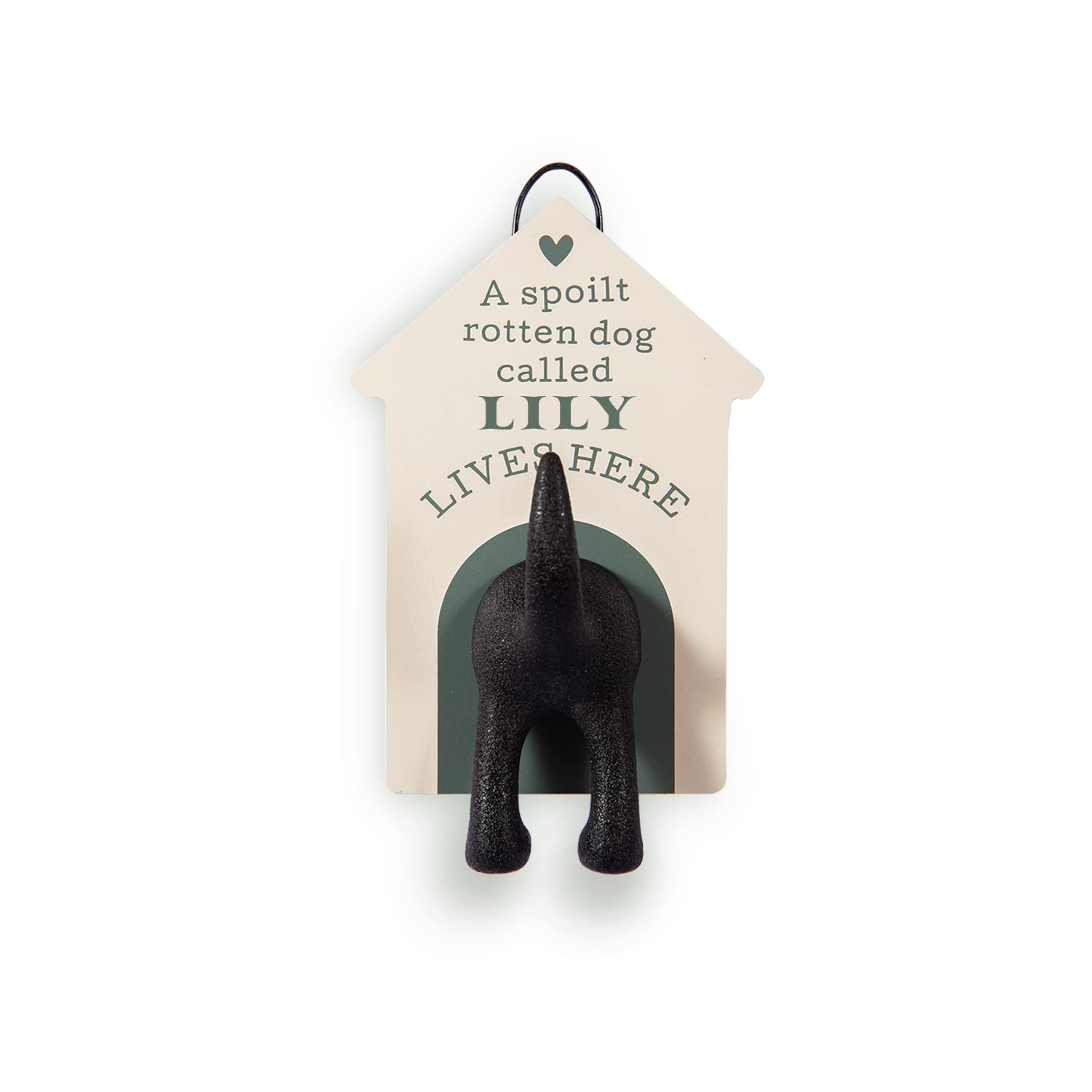 Personalised Dog Lead Hook (Lily) — image 1