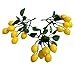 Colorfulife Artificial Plastic Lifelike Mini 6 Fake Fruit Vegetable String Model Party Home Decoration Teaching Props Photo Child Education Fruits House Kitchen Creative Decorative (3, Lemon)