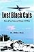Lost Black Cats by