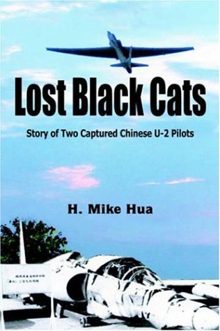 Lost Black Cats by H. Mike Hua, Xijun Hua