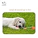 LEPPI Interactive Dog Toys with Two Rubber Indestructible Dog Ball for Tug of War Games- Orange