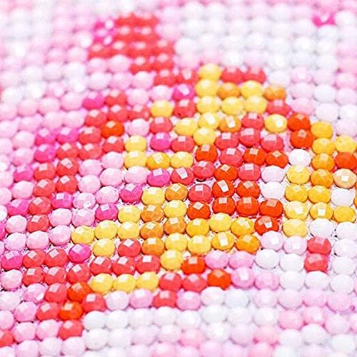 Kit Completi Cikuso Dimensions Kit Colibri E Colibri Inciso A Perma Di Croce E Colibri 14 Pollici X 12 Pollici Casa E Cucina Laaldeasanicolas Es