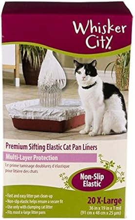 dog thunderstorm music