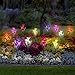 Sorbus LED Flower Light Lily Stakes, 2 Pack Solar Multi-Color Changing 8 LED Outdoor Garden Flowers,Lawn, Garden, Patio, Night Lighting, Path Walkway, Gravestone, Wedding (2 Purple Color Changing)