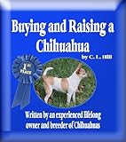 Buying and Raising Chihuahuas