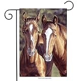 Briarwood Lane Tango & Cash Horses Garden Flag Everyday Meadow 12.5