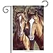 Briarwood Lane Tango & Cash Horses Garden Flag Everyday Meadow 12.5
