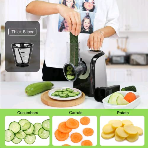 Electric Cheese Grater, 5 in 1 Professional Cheese Grater Electric