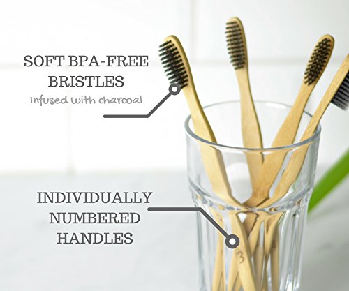 image for SisterNorth 100% Natural Bamboo Toothbrush Set of 4 + Bamboo Travel Ca