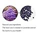 Locisne Hair Removal Hard Wax Beans Lavender Depilatory Hard Wax (300 grams) Purple and spatulas（10pcs）