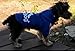 Moolecole Pet Dog Cat Sweater Puppy T Shirt Warm Hooded Coat Clothes Apparel with Colorful Pet Bell (XXL, Sapphire Blue)