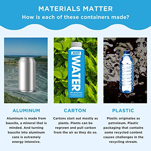 JUST Water Infused | Spring Water Flavored with Organic Essences | Eco-Friendly Boxed Bottled Water | Zero Sugar, Artificial Flavors, or Sweeteners, Alkaline pH of 8.0 | Mint, 16.9 oz (Pack of 12)