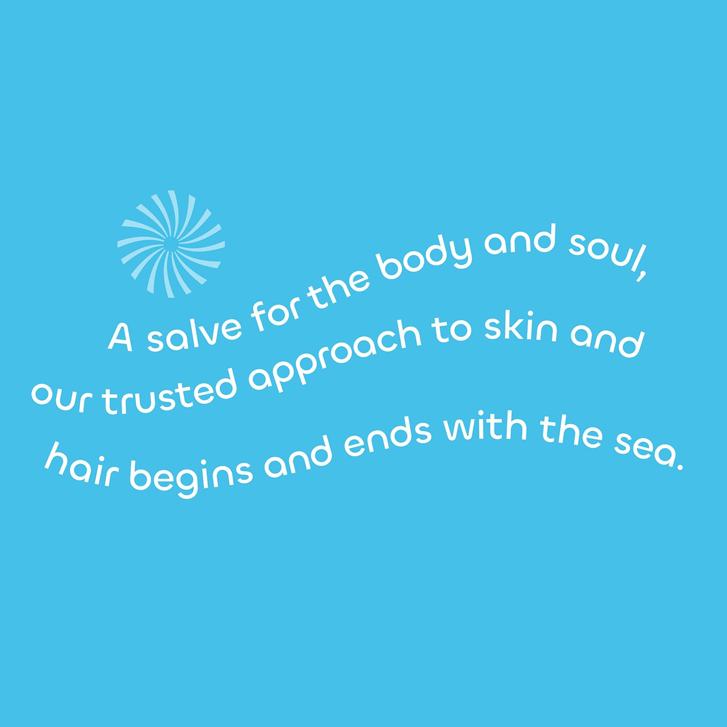 Seaweed Bath Co. Exfoliate Detox Body Soap, 3.75 Ounce, Sustainably Harvested Seaweed, Charcoal (Packaging May Vary)