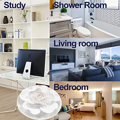 Passive Oil Diffuser for Essential OilNonElectric Porcelain