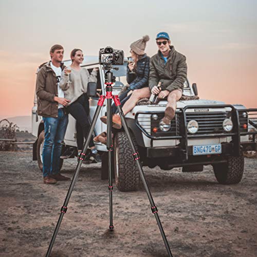 Neewer 66 inches/168 centimeters Carbon Fiber Camera Tripod Monopod