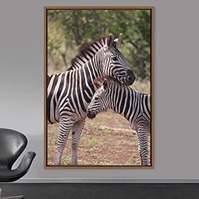 signwin Framed Canvas Wall Art Zebra Animals Dramatic...