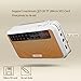 Rolton E500 Portable Stereo Bluetooth Speakers FM Radio Clear Bass Dual Track Speaker TF Card Micro SD Card USB Music Player (Yellow)
