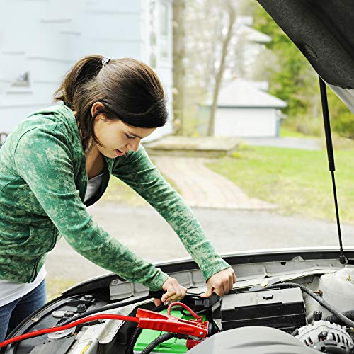 TWING Jumper Cables 2 Gauge 20 Feet Booster Cable for Battery Emergency 2AWG 20Ft Heavy Duty Long Enough Strong Clips