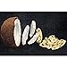 Bare Crunchy Chia Coconut Bites, Chia + Vanilla, Gluten Free + Baked, Multi Serve Bag - 2.8 Oz (6 Count)