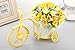Louis Garden Nostalgic Bicycle Artificial Flower Decor Plant Stand (Orange)