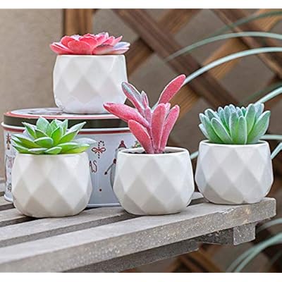 Artificial Succulent Plants Decor,4 Pieces of Various Fake Succulents in Mini White Ceramic Pots for Desk, Office… 51J5CaIKfBL