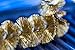 Backyard Dudes BBQ Grill Cleaning Brass Brush 12